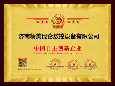 中國自主創新企業